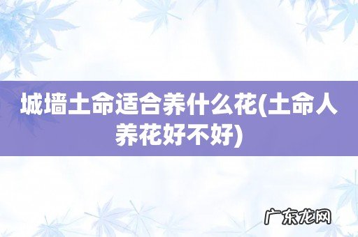 土命人养花好不好 城墙土命适合养什么花