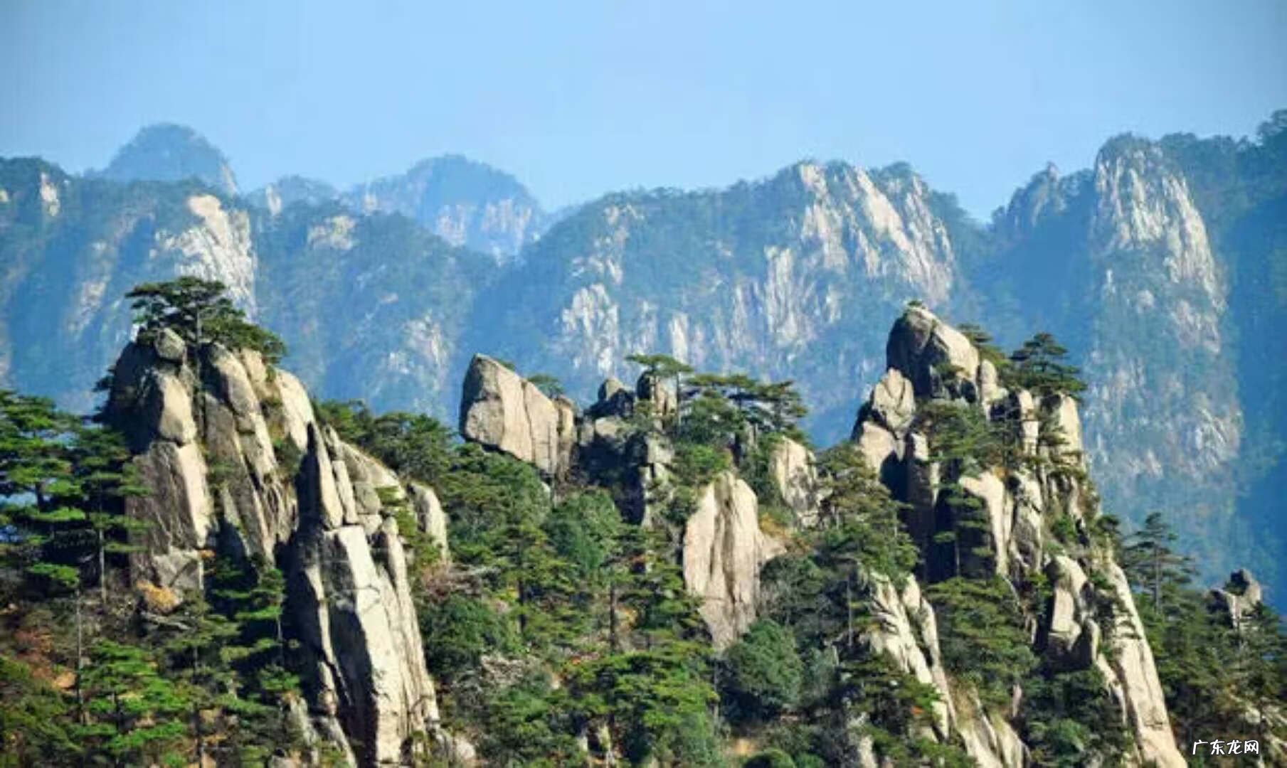 佩淇的英文 风水世家的佩淇