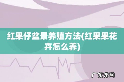 红果果花卉怎么养 红果仔盆景养殖方法