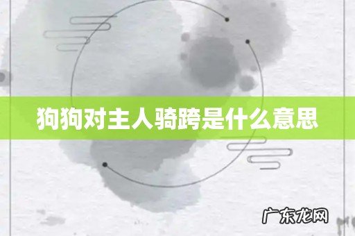 狗狗对主人骑跨是什么意思