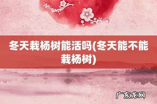 冬天能不能栽杨树 冬天栽杨树能活吗