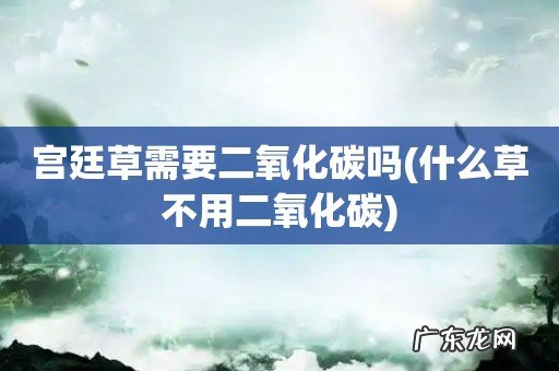 什么草不用二氧化碳 宫廷草需要二氧化碳吗