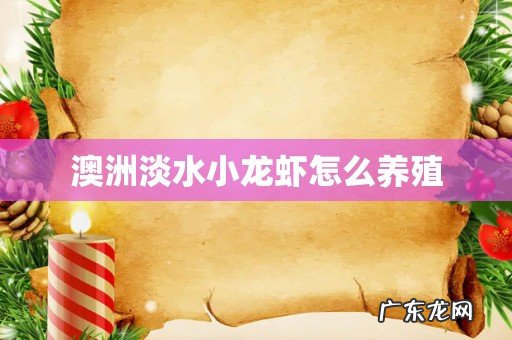 澳洲淡水小龙虾怎么养殖