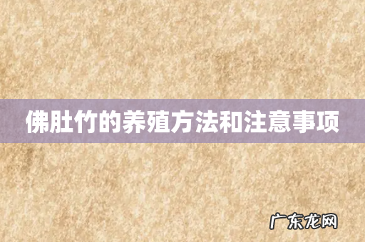 佛肚竹的养殖方法和注意事项