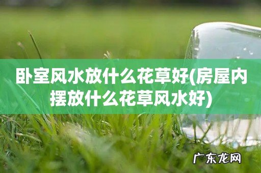 房屋内摆放什么花草风水好 卧室风水放什么花草好