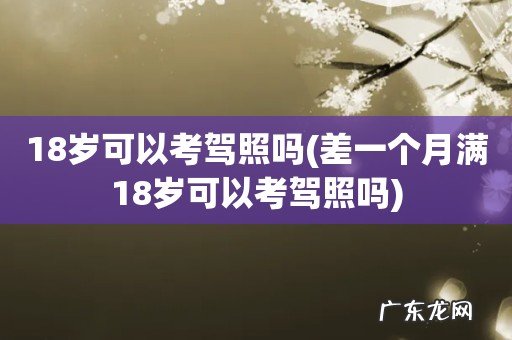 差一个月满18岁可以考驾照吗 18岁可以考驾照吗