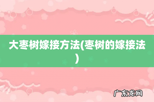 枣树的嫁接法 大枣树嫁接方法