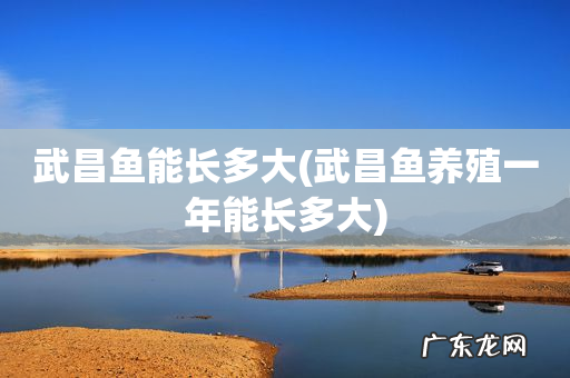 武昌鱼养殖一年能长多大 武昌鱼能长多大