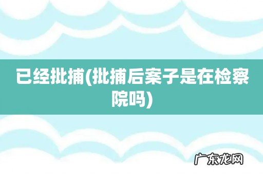 批捕后案子是在检察院吗 已经批捕