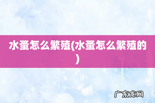 水蚤怎么繁殖的 水蚤怎么繁殖