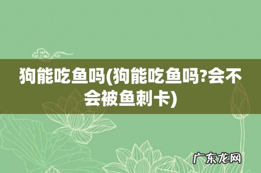 狗能吃鱼吗?会不会被鱼刺卡 狗能吃鱼吗