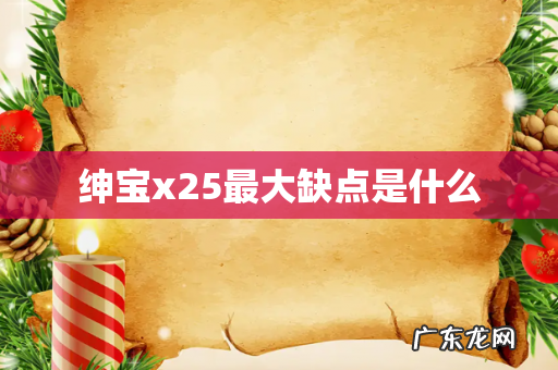 绅宝x25最大缺点是什么