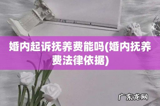 婚内抚养费法律依据 婚内起诉抚养费能吗