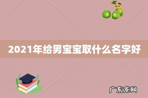 2021年给男宝宝取什么名字好