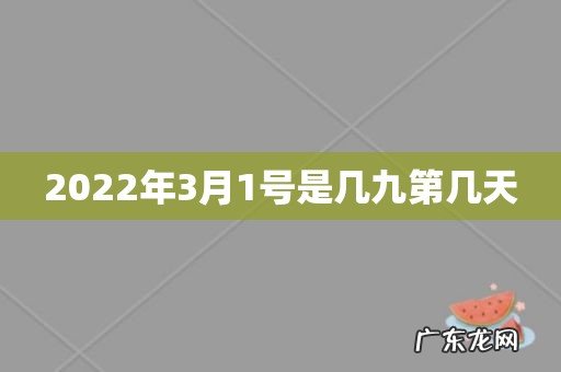 2022年3月1号是几九第几天