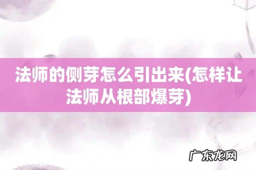 怎样让法师从根部爆芽 法师的侧芽怎么引出来