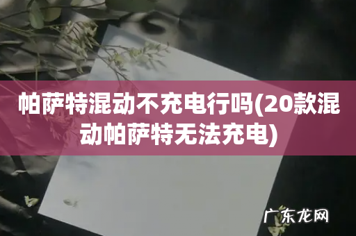 20款混动帕萨特无法充电 帕萨特混动不充电行吗