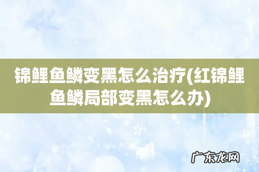 红锦鲤鱼鳞局部变黑怎么办 锦鲤鱼鳞变黑怎么治疗