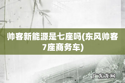 东风帅客7座商务车 帅客新能源是七座吗