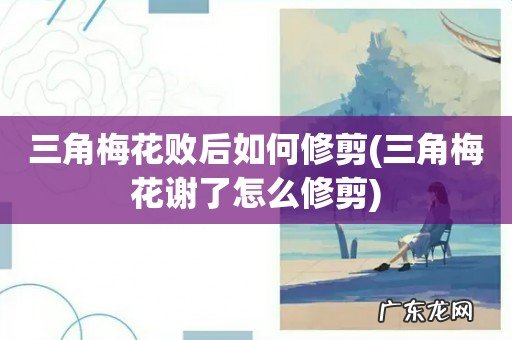 三角梅花谢了怎么修剪 三角梅花败后如何修剪