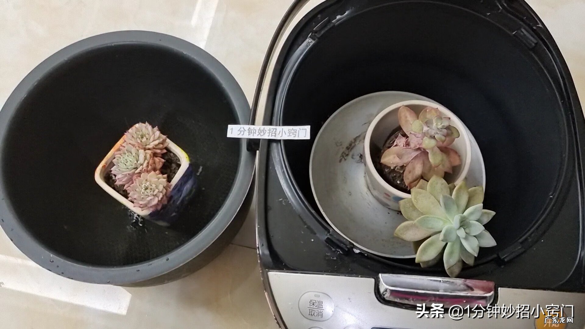 旧名片怎么处理风水好 旧饭锅不用了怎么处理