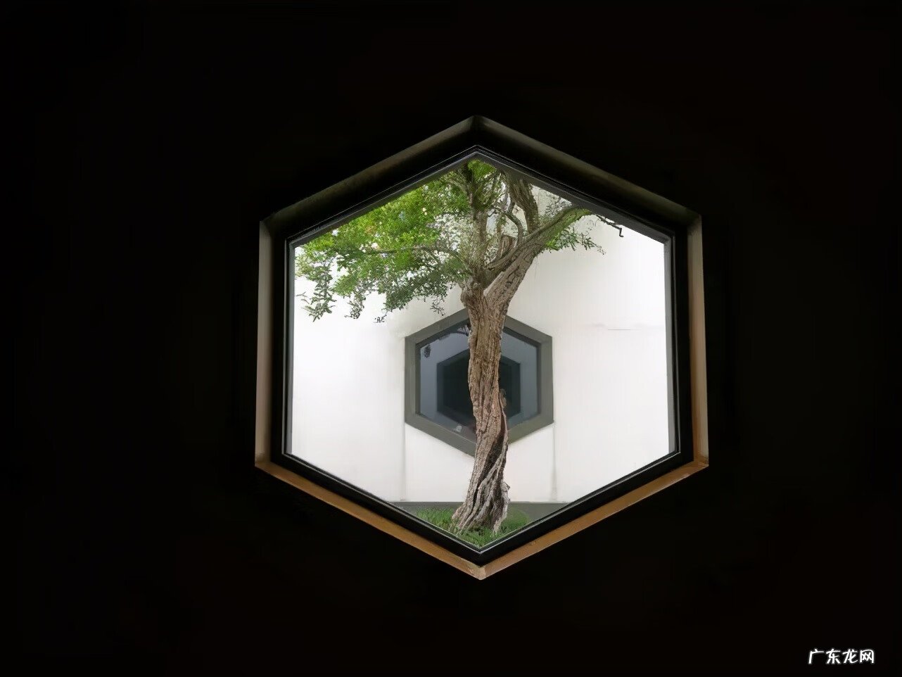 古建门窗传统图案 古建装修风水窗