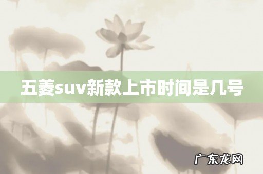 五菱suv新款上市时间是几号