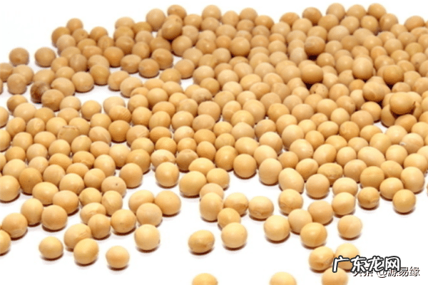 风水家里有蚯蚓好不好 家里有蚯蚓是什么风水