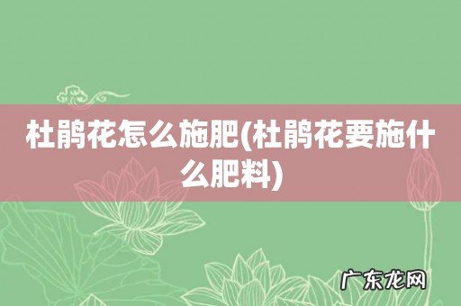 杜鹃花要施什么肥料 杜鹃花怎么施肥