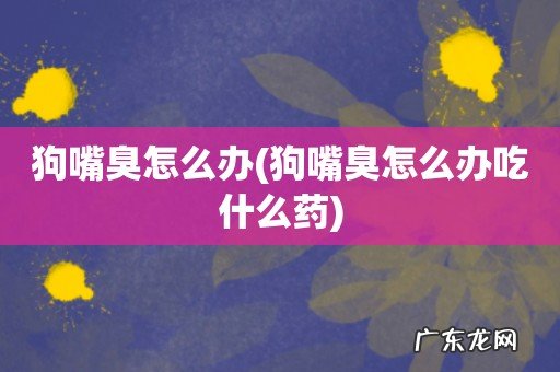狗嘴臭怎么办吃什么药 狗嘴臭怎么办