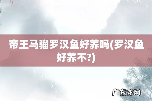 罗汉鱼好养不? 帝王马骝罗汉鱼好养吗