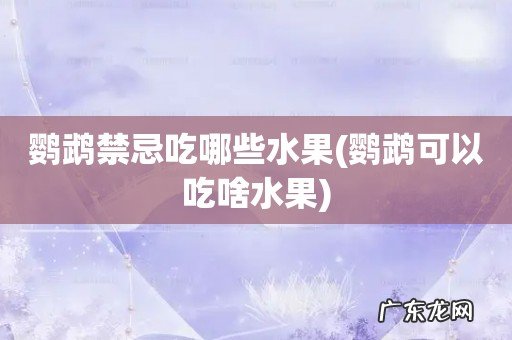 鹦鹉可以吃啥水果 鹦鹉禁忌吃哪些水果