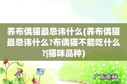 养布偶猫最忌讳什么?布偶猫不能吃什么?|猫咪品种 养布偶猫最忌讳什么