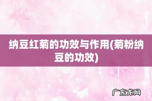 菊粉纳豆的功效 纳豆红菊的功效与作用