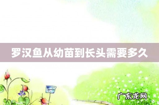罗汉鱼从幼苗到长头需要多久