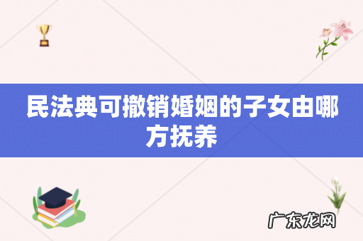 民法典可撤销婚姻的子女由哪方抚养