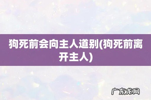 狗死前离开主人 狗死前会向主人道别