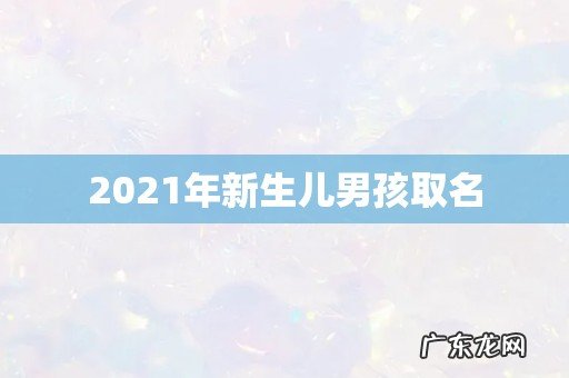 2021年新生儿男孩取名
