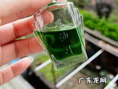 风油精能兑水喝吗 风油精能喝吗?谢谢