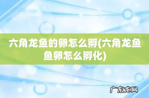 六角龙鱼鱼卵怎么孵化 六角龙鱼的卵怎么孵