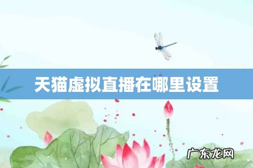 天猫虚拟直播在哪里设置