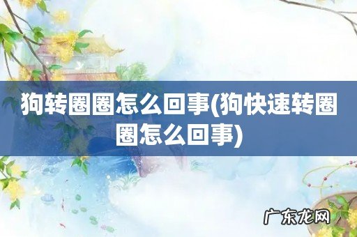 狗快速转圈圈怎么回事 狗转圈圈怎么回事