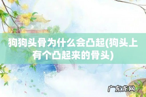 狗头上有个凸起来的骨头 狗狗头骨为什么会凸起