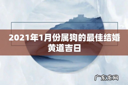 2021年1月份属狗的最佳结婚黄道吉日