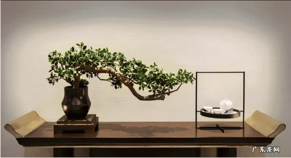 梁上放毛笔风水 毛笔的风水