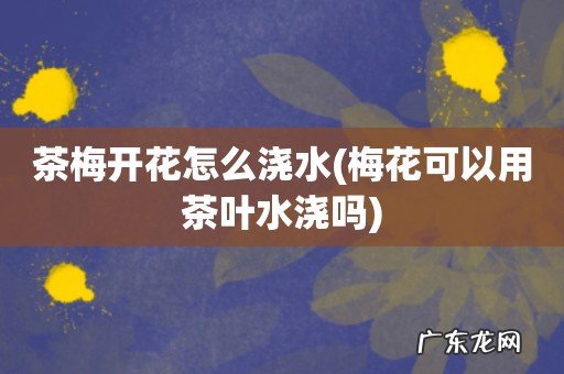 梅花可以用茶叶水浇吗 茶梅开花怎么浇水