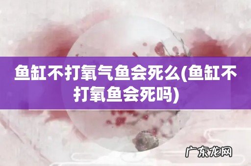 鱼缸不打氧鱼会死吗 鱼缸不打氧气鱼会死么