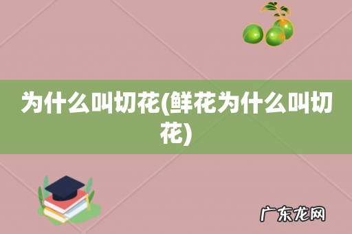 鲜花为什么叫切花 为什么叫切花