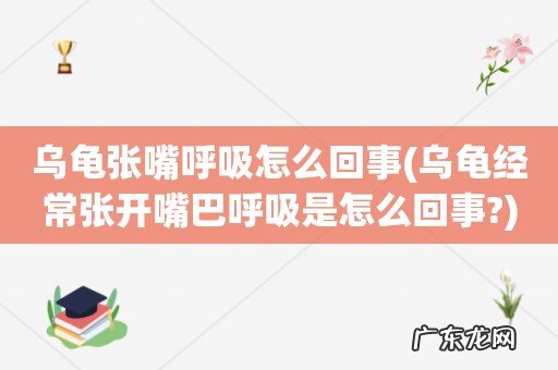 乌龟经常张开嘴巴呼吸是怎么回事? 乌龟张嘴呼吸怎么回事