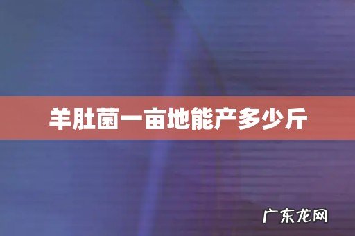 羊肚菌一亩地能产多少斤